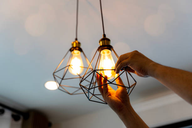 Best Ceiling Fan Installation Electrician  in Delcambre, LA