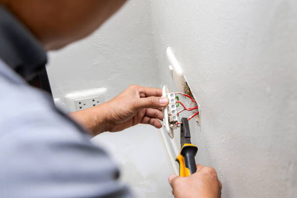 Best Electric Panel Repair  in Delcambre, LA